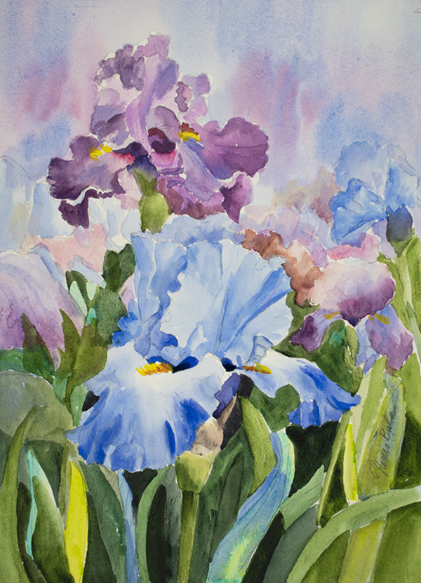 22-18 Blue and Purple Iris by Tanis Bula