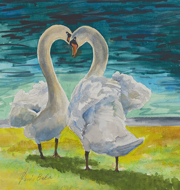 22-25 Swan Courtship by Tanis Bula