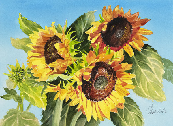 Three Sunflowers by Tanis Bula
