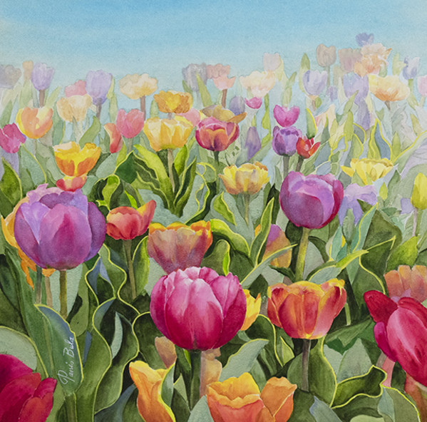 Colorful Tulips by Tanis Bula