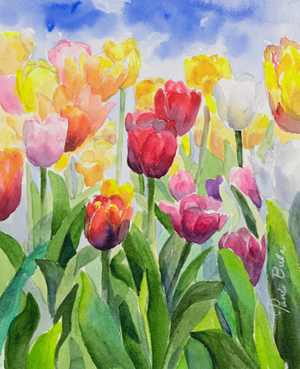 Tulips in Light by Tanis Bula