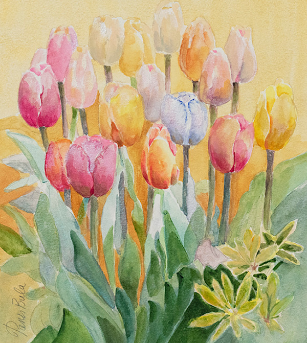 Shimmering Tulips by Tanis Bula