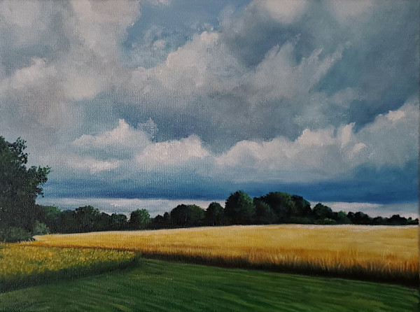 North Field by J. Scott Ament