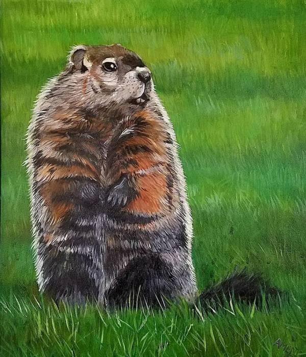 Upright Groundhog by J. Scott Ament