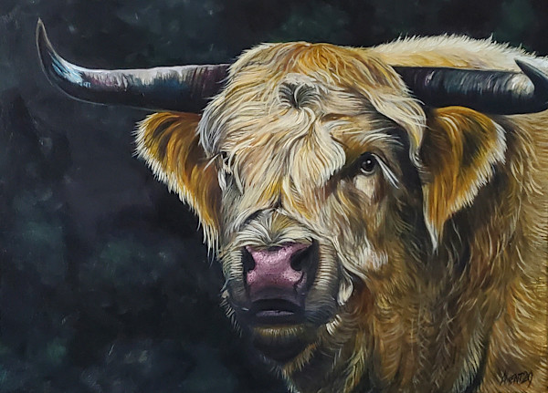 Marcus by J. Scott Ament