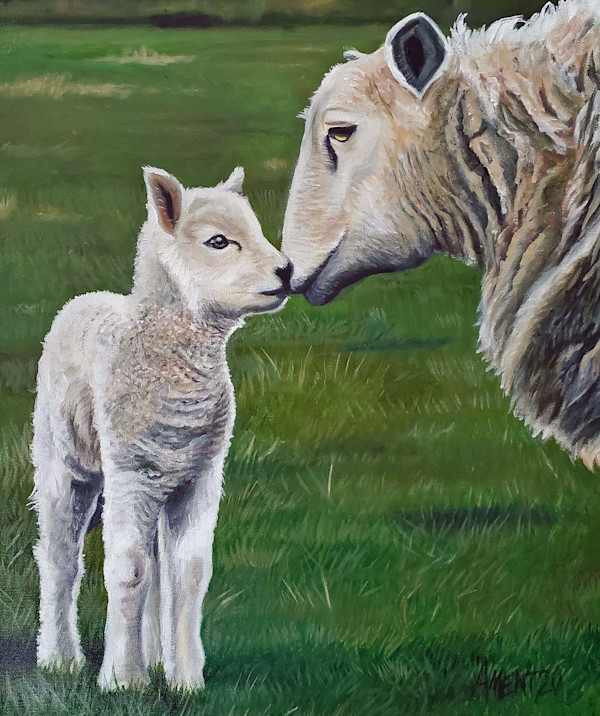 Little Lamb by J. Scott Ament