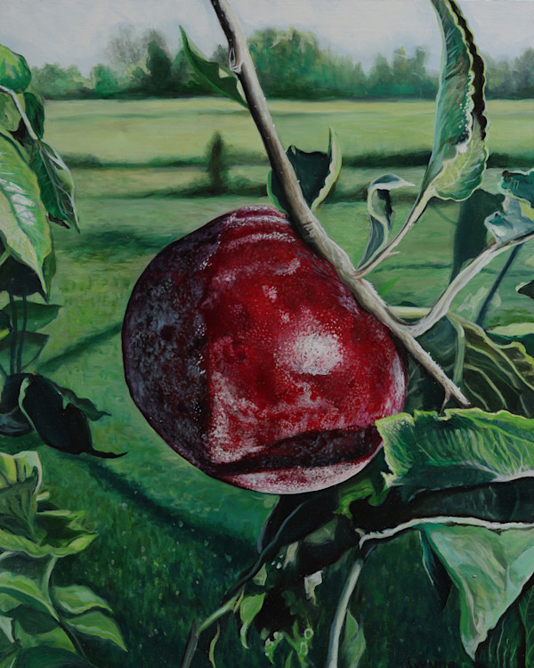 Apple by J. Scott Ament