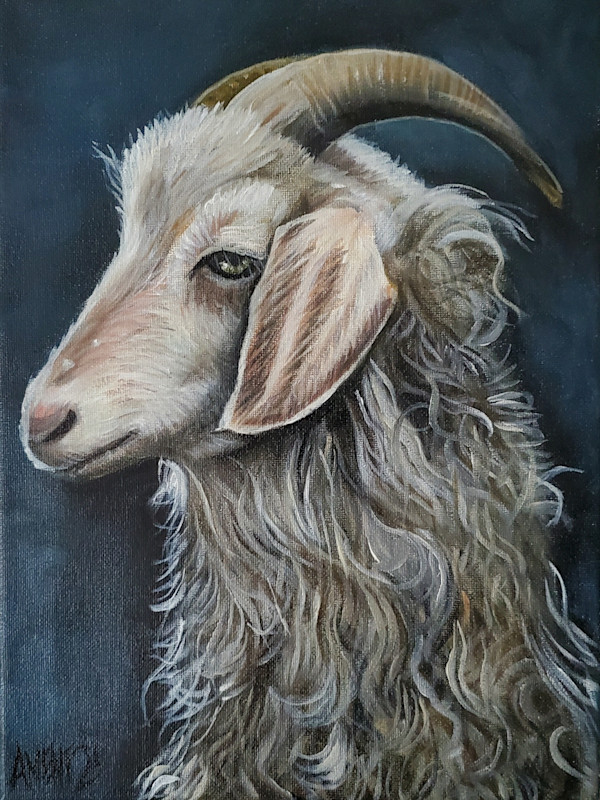 Ben's Goat by J. Scott Ament