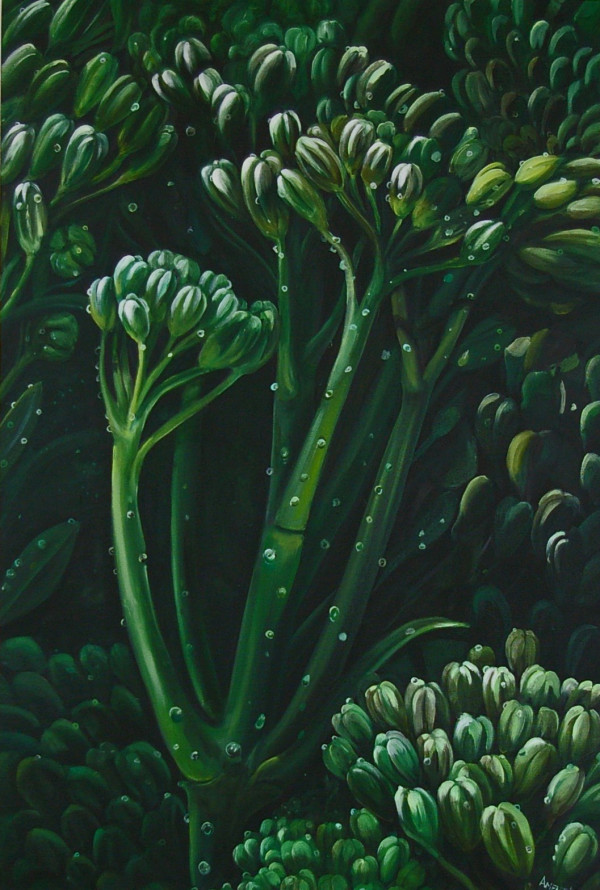 Broccoli by J. Scott Ament