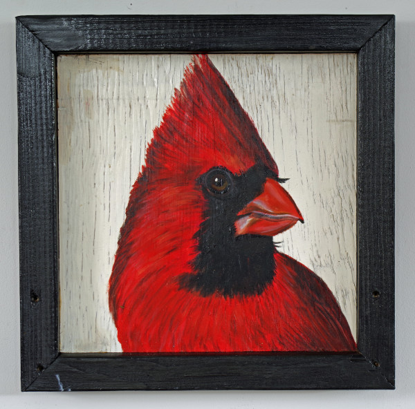 Cardinal by J. Scott Ament