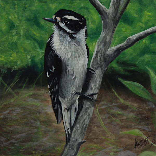 Downy by J. Scott Ament