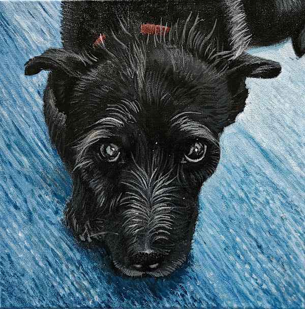 Faye's Pup by J. Scott Ament