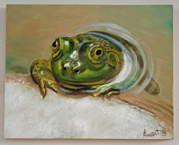 Froggie by J. Scott Ament