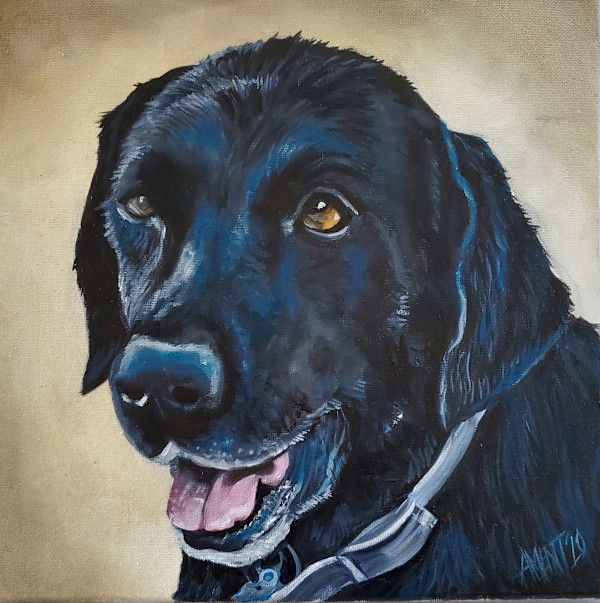 Hank by J. Scott Ament