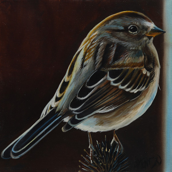 House Sparrow by J. Scott Ament