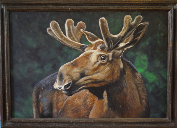 Mr. Moose 2 by J. Scott Ament
