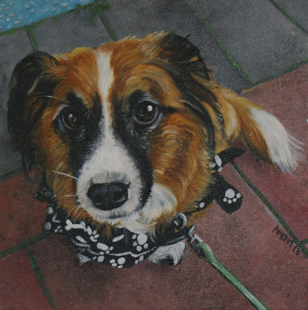 Aragon (Sadie Rogers' Dog) by J. Scott Ament