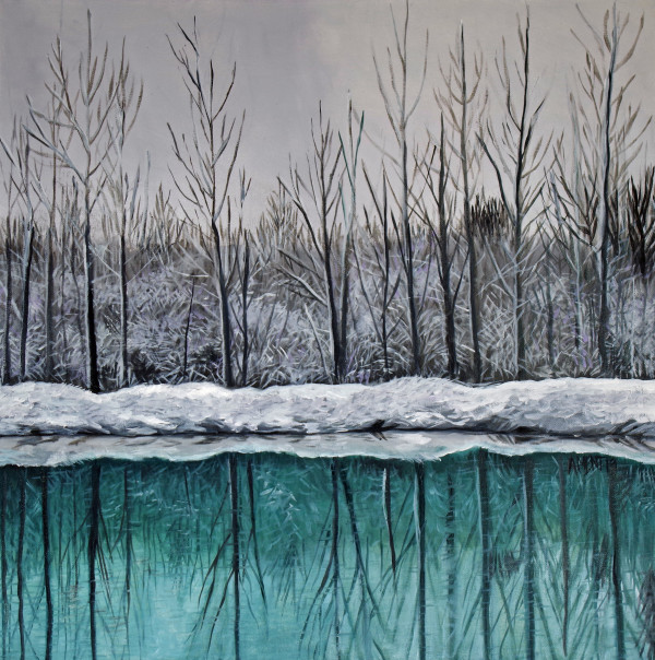 Winter Pond by J. Scott Ament