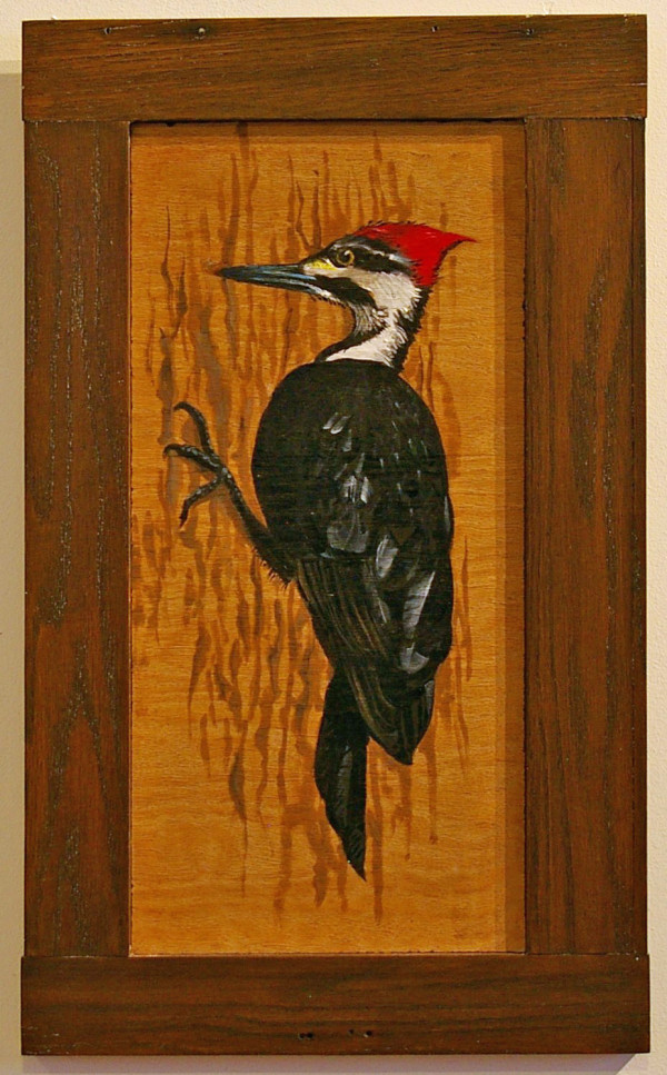 Piliated Woodpecker by J. Scott Ament