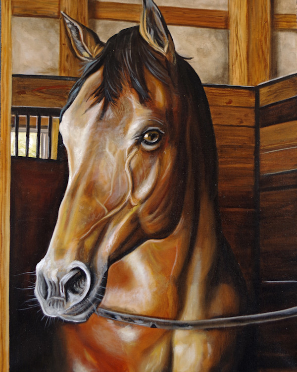 Julie's Horse by J. Scott Ament