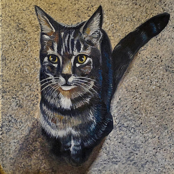 Julie's Cat by J. Scott Ament