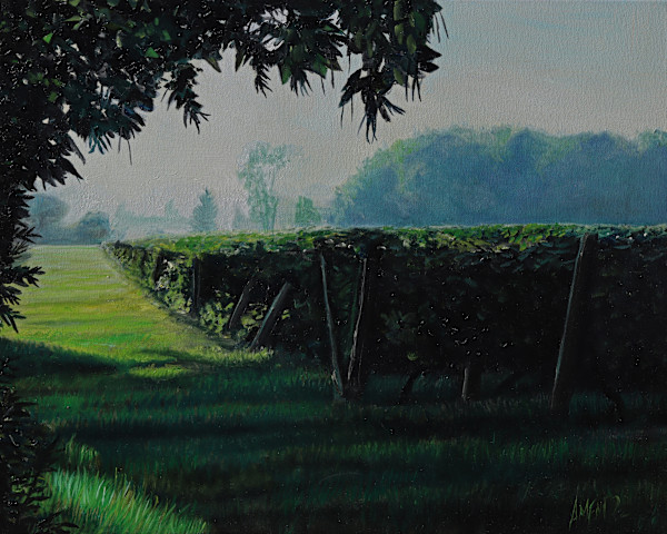 Kirk Vineyard by J. Scott Ament