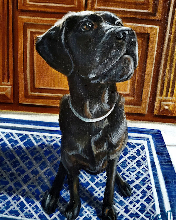 Kitchen Pup by J. Scott Ament