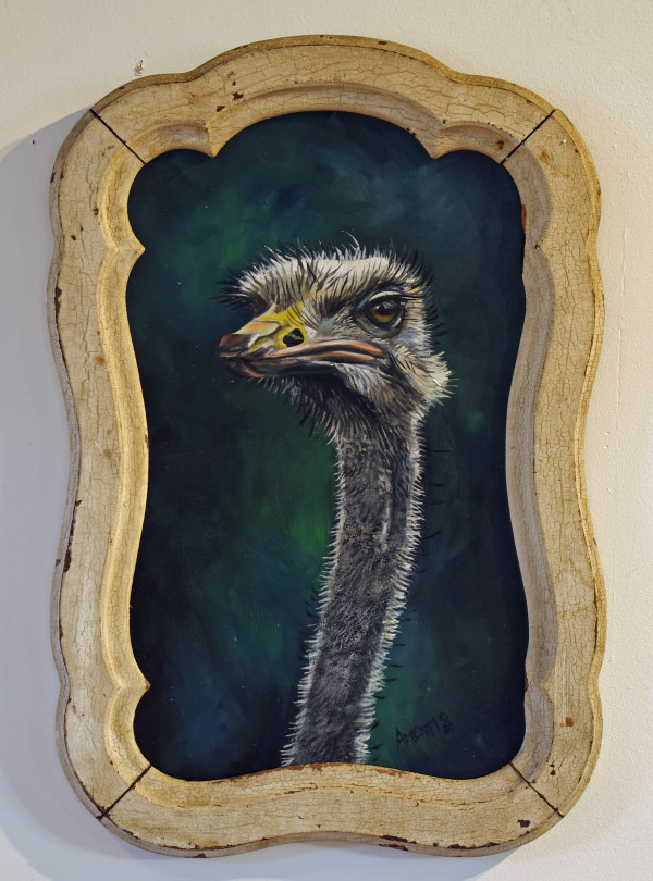 Ostrich II by J. Scott Ament