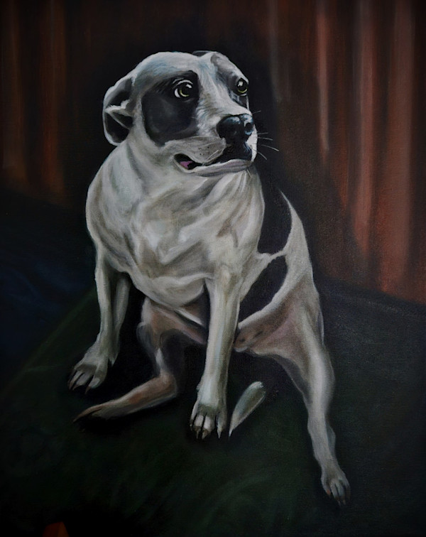 Phoenix by J. Scott Ament