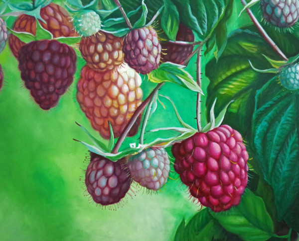 Raspberries by J. Scott Ament