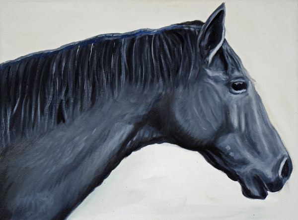 Equine Profile by J. Scott Ament