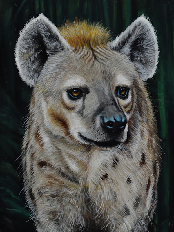 Spotted Hyena by J. Scott Ament