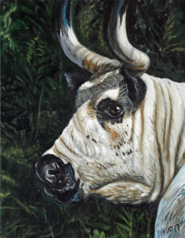 Steer Profile by J. Scott Ament