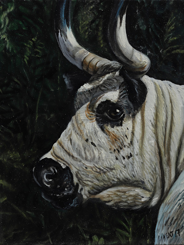 Steer Profile by J. Scott Ament