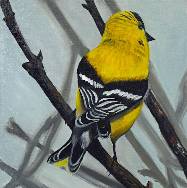 Summer Goldfinch by J. Scott Ament