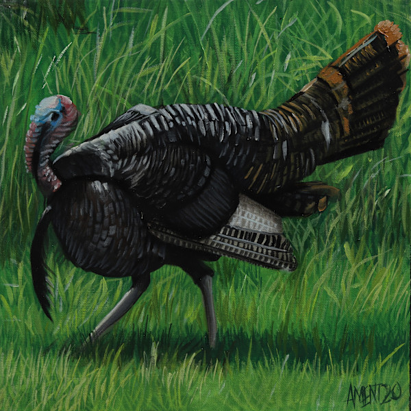 Tom Turkey by J. Scott Ament