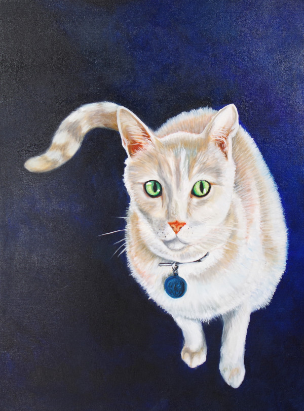 Tony, the Cat by J. Scott Ament