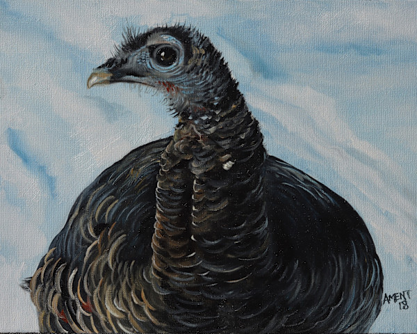 Turkey in the Snow by J. Scott Ament