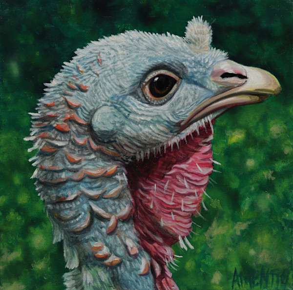 Turkey by J. Scott Ament