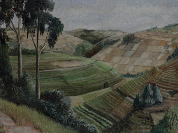 Ugandan Tea Fields by J. Scott Ament