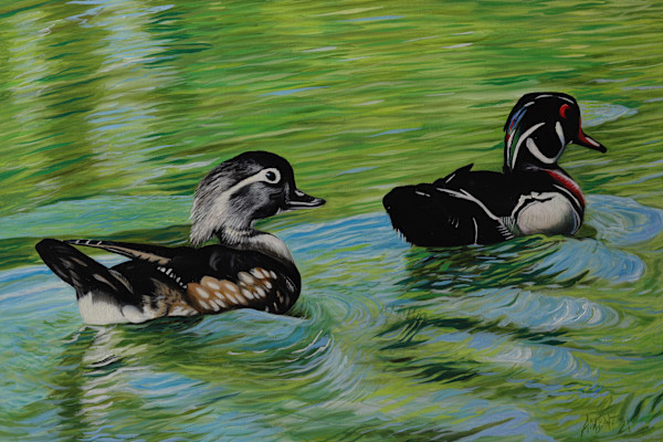 Wood Duck by J. Scott Ament