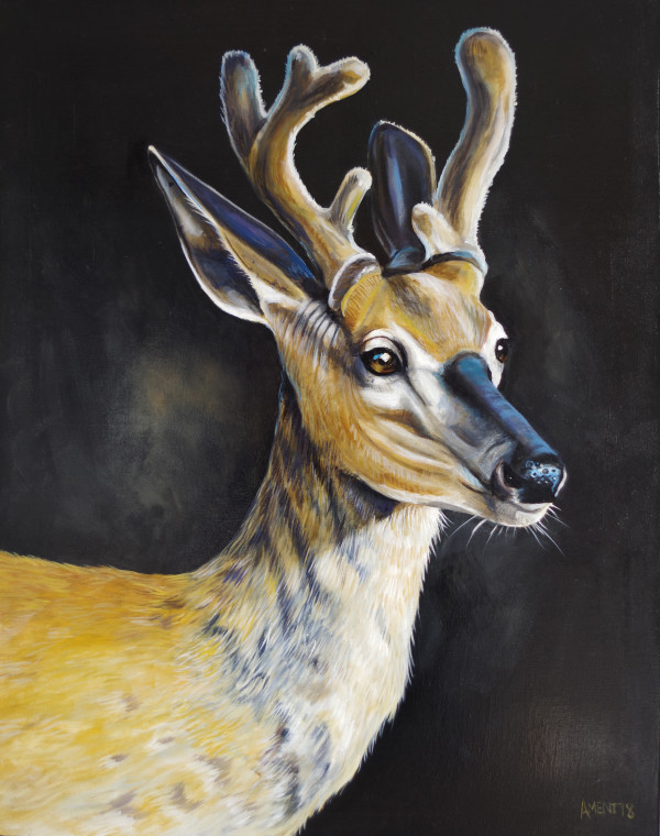 Young Buck by J. Scott Ament