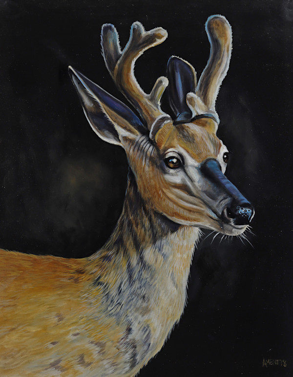 Young Buck by J. Scott Ament