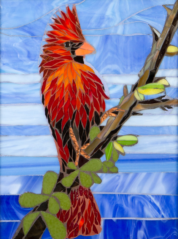 Arizona Cardinal by Andrea L Edmundson