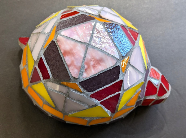 Dot the Turtle by Andrea L Edmundson, Image 1.