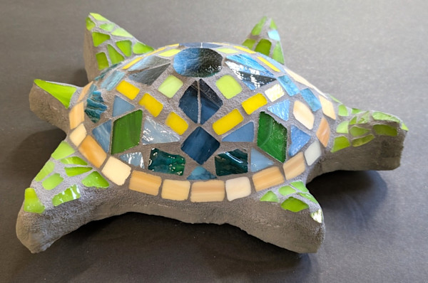 Little Ray the Turtle by Andrea L Edmundson, Image 1.