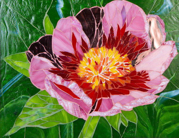 Pink Peony by Andrea L Edmundson