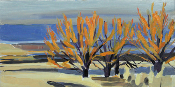 Playa Willows by Shawn Demarest, Image 1.