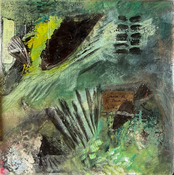 Butterfly 11 by Mara Manning