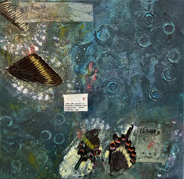 Butterfly Nagano by Mara Manning